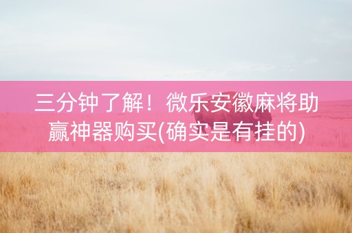 三分钟了解！微乐安徽麻将助赢神器购买(确实是有挂的)