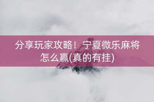 分享玩家攻略！宁夏微乐麻将怎么赢(真的有挂)