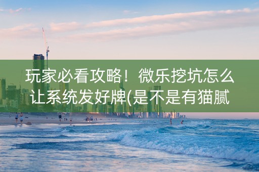 玩家必看攻略！微乐挖坑怎么让系统发好牌(是不是有猫腻)