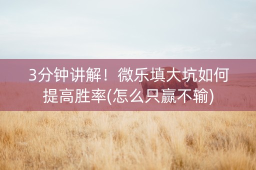 3分钟讲解！微乐填大坑如何提高胜率(怎么只赢不输)