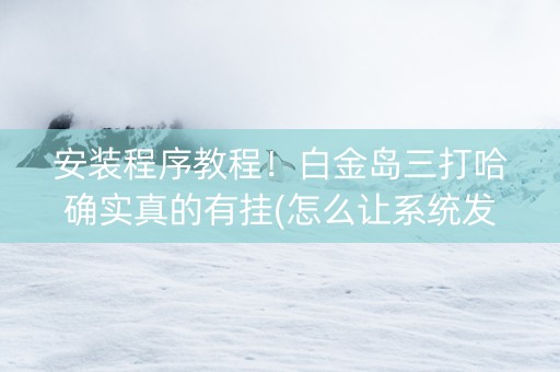 安装程序教程！白金岛三打哈确实真的有挂(怎么让系统发好牌)