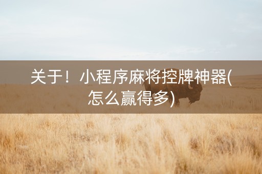 关于！小程序麻将控牌神器(怎么赢得多)