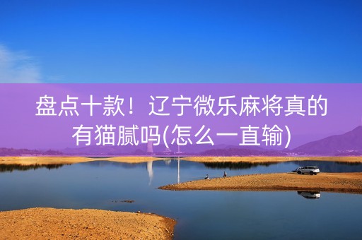 盘点十款！辽宁微乐麻将真的有猫腻吗(怎么一直输)