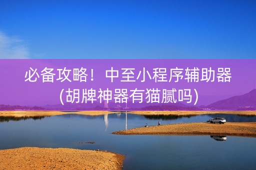 必备攻略！中至小程序辅助器(胡牌神器有猫腻吗)
