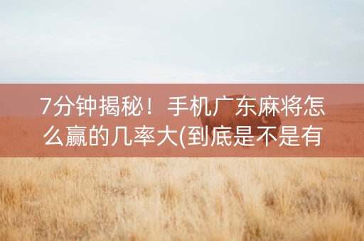 7分钟揭秘！手机广东麻将怎么赢的几率大(到底是不是有挂)