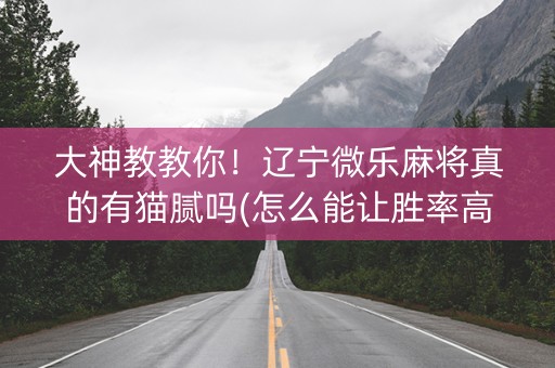 大神教教你！辽宁微乐麻将真的有猫腻吗(怎么能让胜率高)