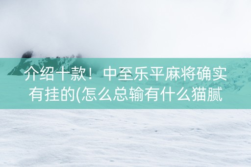 介绍十款！中至乐平麻将确实有挂的(怎么总输有什么猫腻)