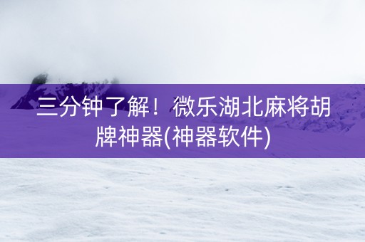 三分钟了解！微乐湖北麻将胡牌神器(神器软件)