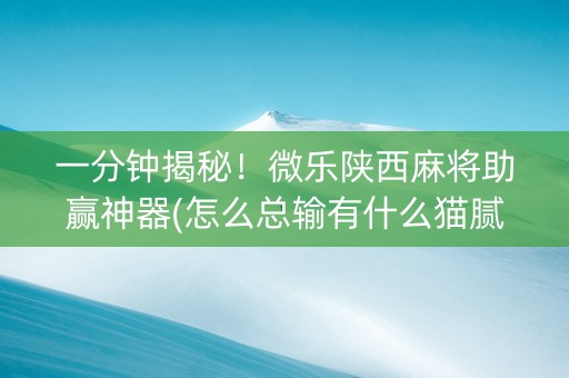 一分钟揭秘！微乐陕西麻将助赢神器(怎么总输有什么猫腻)