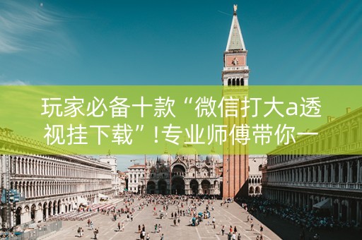 玩家必备十款“微信打大a透视挂下载”!专业师傅带你一起了解（详细教程）-知乎