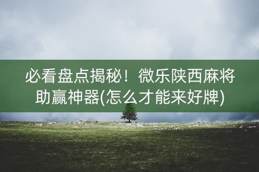 必看盘点揭秘！微乐陕西麻将助赢神器(怎么才能来好牌)