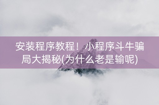 安装程序教程！小程序斗牛骗局大揭秘(为什么老是输呢)