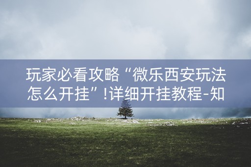 玩家必看攻略“微乐西安玩法怎么开挂”!详细开挂教程-知乎