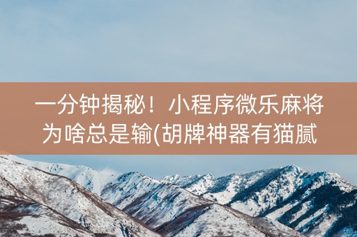一分钟揭秘！小程序微乐麻将为啥总是输(胡牌神器有猫腻吗)