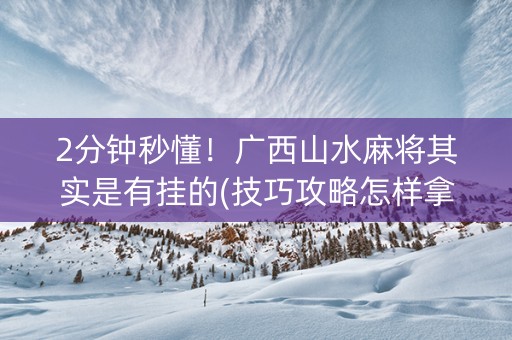 2分钟秒懂！广西山水麻将其实是有挂的(技巧攻略怎样拿好牌)