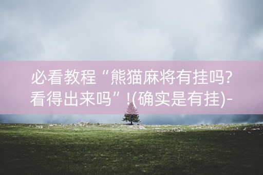 必看教程“熊猫麻将有挂吗?看得出来吗”!(确实是有挂)-知乎