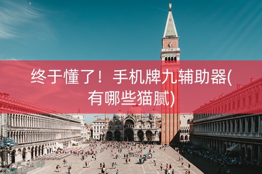 终于懂了！手机牌九辅助器(有哪些猫腻)