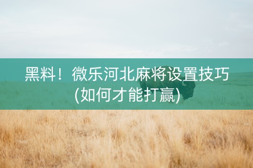 黑料！微乐河北麻将设置技巧(如何才能打赢)