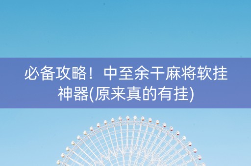必备攻略！中至余干麻将软挂神器(原来真的有挂)