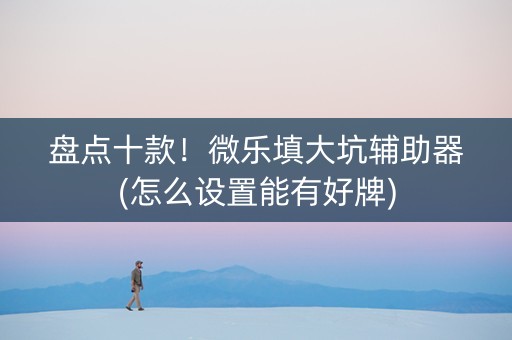 盘点十款！微乐填大坑辅助器(怎么设置能有好牌)