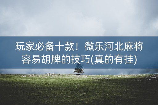 玩家必备十款！微乐河北麻将容易胡牌的技巧(真的有挂)