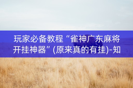 玩家必备教程“雀神广东麻将开挂神器”(原来真的有挂)-知乎