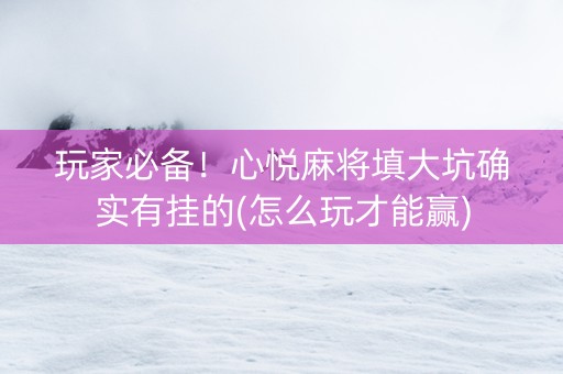 玩家必备！心悦麻将填大坑确实有挂的(怎么玩才能赢)