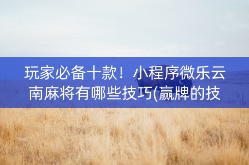 玩家必备十款！小程序微乐云南麻将有哪些技巧(赢牌的技巧)