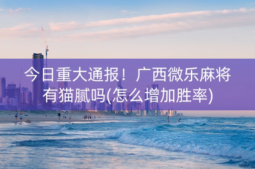今日重大通报！广西微乐麻将有猫腻吗(怎么增加胜率)