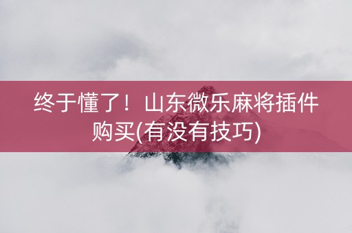 终于懂了！山东微乐麻将插件购买(有没有技巧)