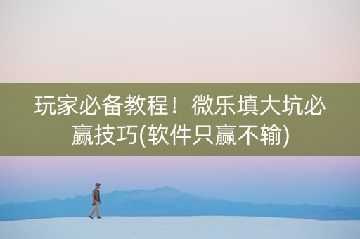 玩家必备教程！微乐填大坑必赢技巧(软件只赢不输)