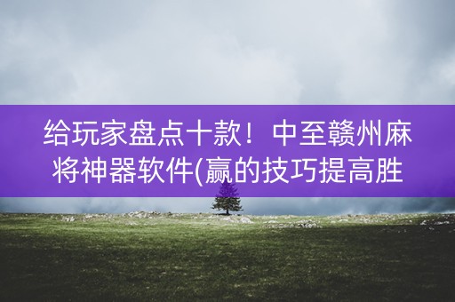 给玩家盘点十款！中至赣州麻将神器软件(赢的技巧提高胜率)