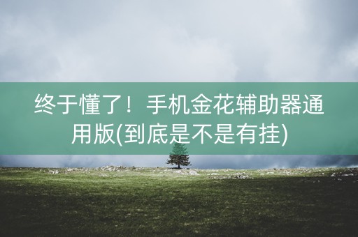终于懂了！手机金花辅助器通用版(到底是不是有挂)
