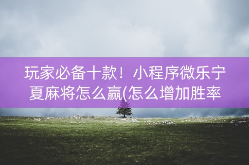 玩家必备十款！小程序微乐宁夏麻将怎么赢(怎么增加胜率)
