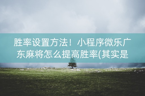 胜率设置方法！小程序微乐广东麻将怎么提高胜率(其实是有挂确实有挂)