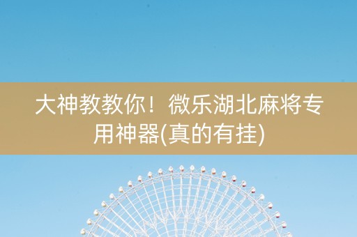 大神教教你！微乐湖北麻将专用神器(真的有挂)