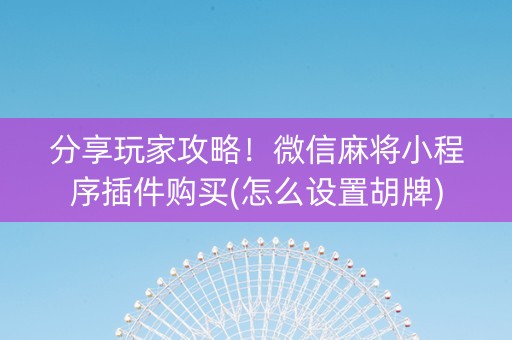分享玩家攻略！微信麻将小程序插件购买(怎么设置胡牌)