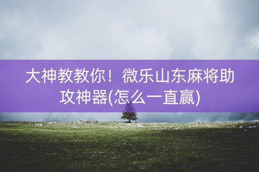 大神教教你！微乐山东麻将助攻神器(怎么一直赢)