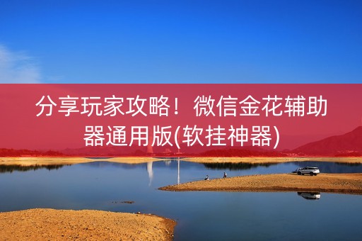 分享玩家攻略！微信金花辅助器通用版(软挂神器)