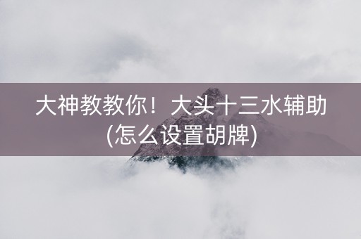 大神教教你！大头十三水辅助(怎么设置胡牌)