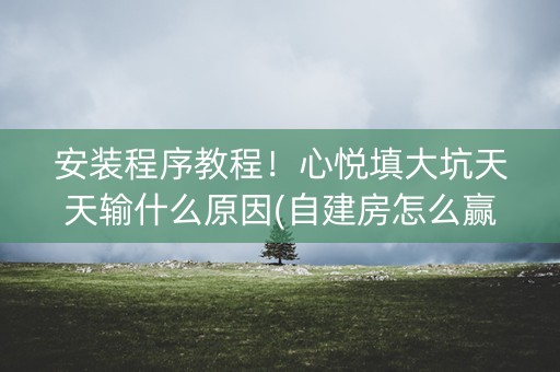 安装程序教程！心悦填大坑天天输什么原因(自建房怎么赢)