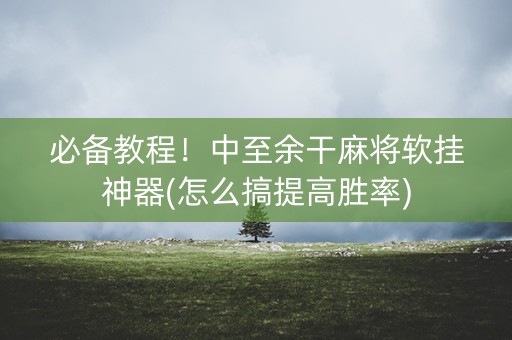 必备教程！中至余干麻将软挂神器(怎么搞提高胜率)