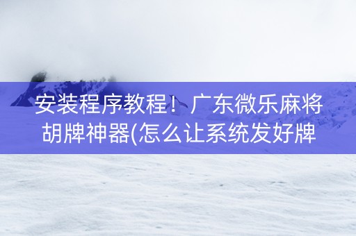 安装程序教程！广东微乐麻将胡牌神器(怎么让系统发好牌)