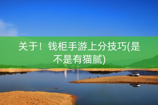 关于！钱柜手游上分技巧(是不是有猫腻)