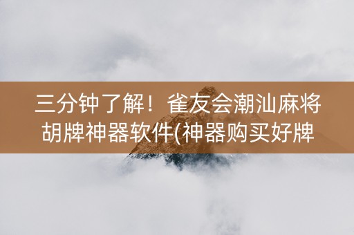 三分钟了解！雀友会潮汕麻将胡牌神器软件(神器购买好牌规律)