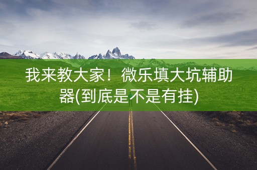 我来教大家！微乐填大坑辅助器(到底是不是有挂)