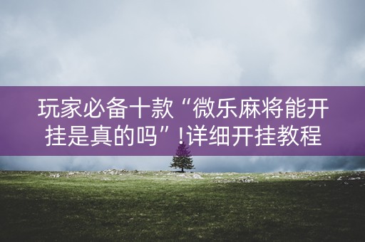 玩家必备十款“微乐麻将能开挂是真的吗”!详细开挂教程-知乎