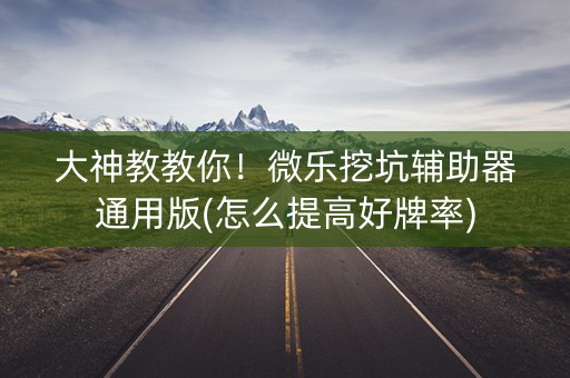 大神教教你！微乐挖坑辅助器通用版(怎么提高好牌率)