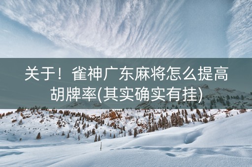 关于！雀神广东麻将怎么提高胡牌率(其实确实有挂)