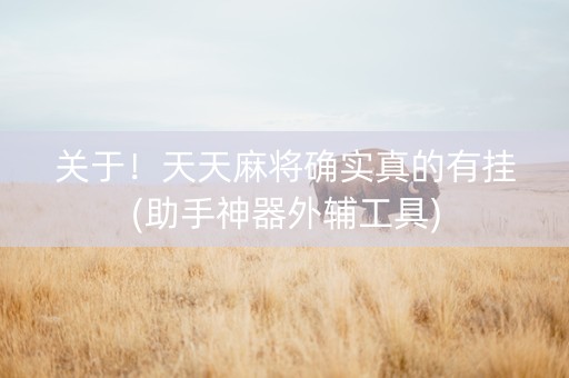 关于！天天麻将确实真的有挂(助手神器外辅工具)
